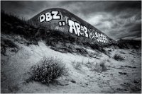 29 - L'ABANDONNE - DE PESTEL LUC - belgium <div